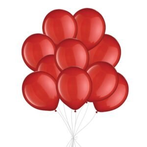 Round Latex Balloon Bouquet (10 pieces)